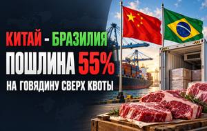 Китай ввёл пошлину 55% на говядину из Бразилии: как работает квота и изменятся ли цены на мясо