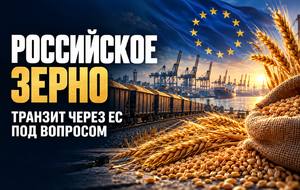 Страны Балтии предлагают закрыть транзит российского зерна через ЕС: что поставлено на карту